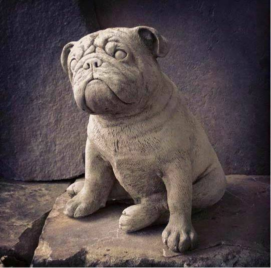 A British Bulldog sitting with a look of curiosity. Seated on a stone platform against a dark backdrop in a British garden