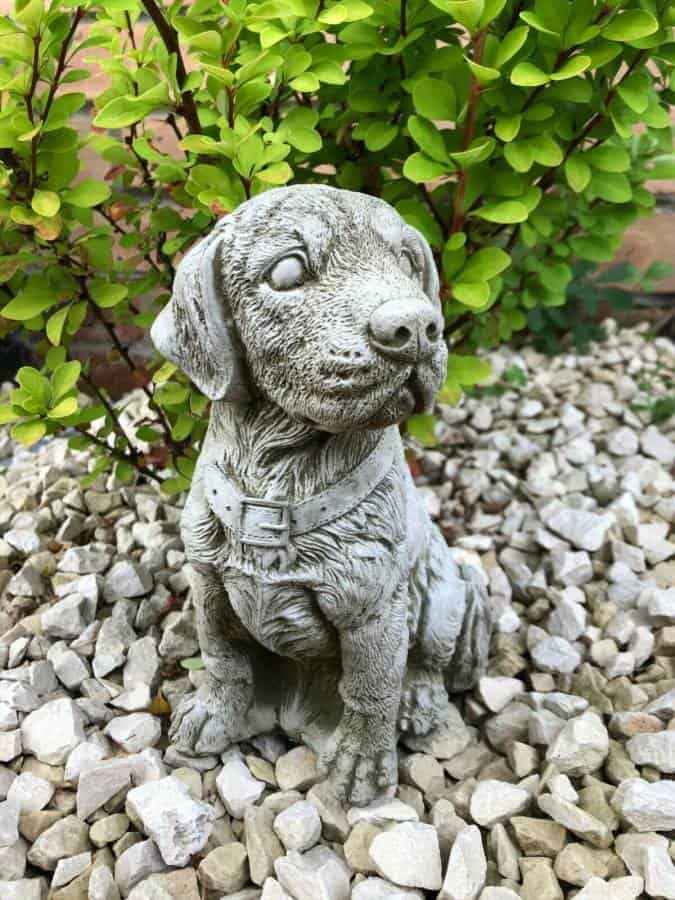 A small retriever stone statue situated amongst green foliage in a british garden