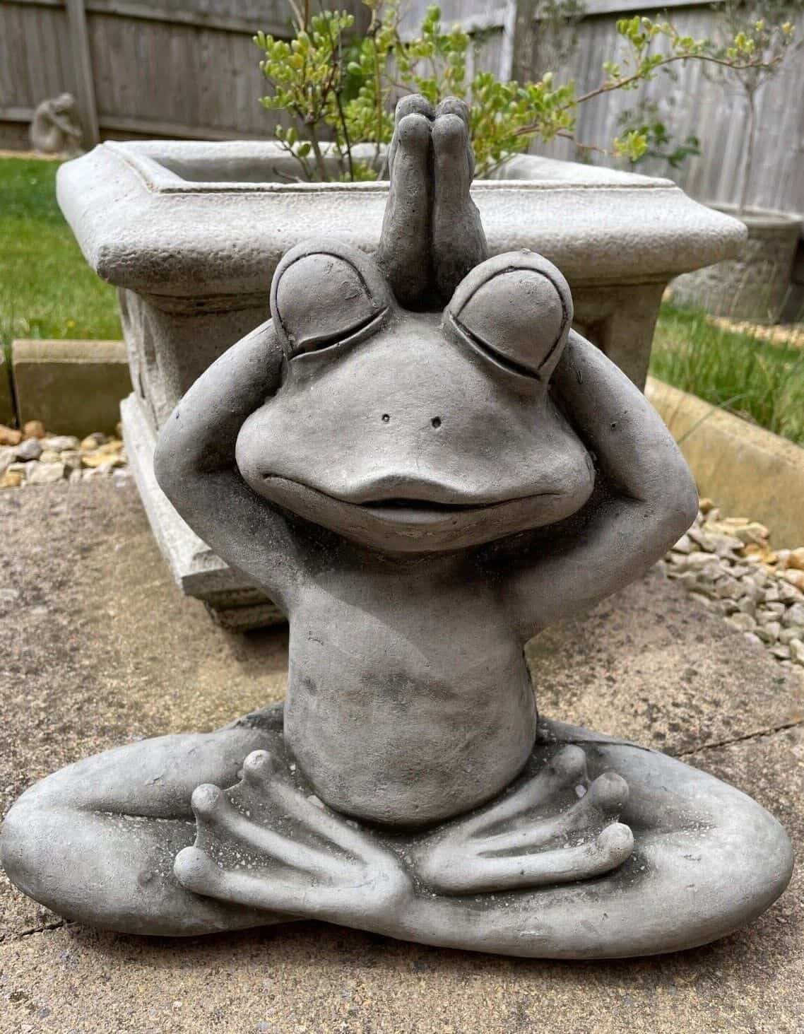 A frog sitting with back legs crossed and arms extended upwards into a yoga position. Situated in the garden of a British home