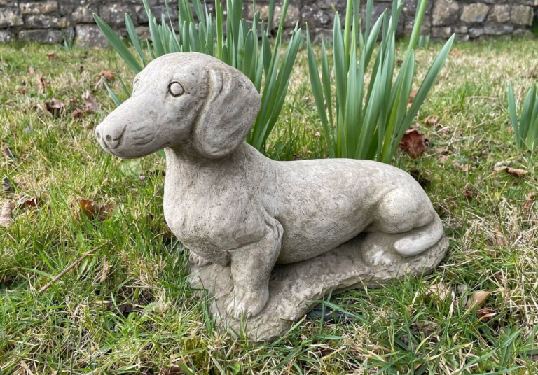 A Sausage dog with floppy ears, long back and short legs laying in the grass. Surrounded by daffodils in a British Garden